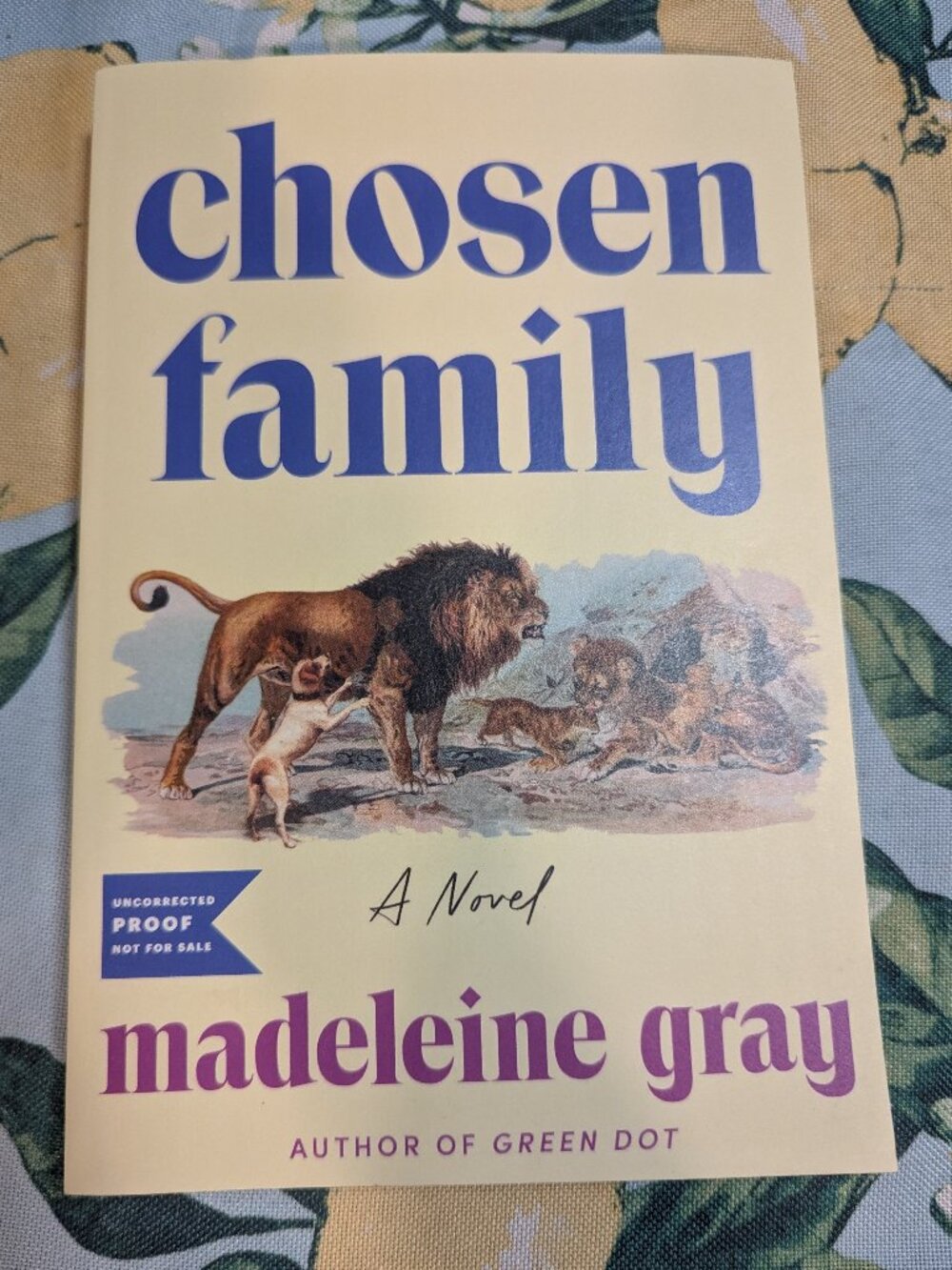 Chosen Family by Madeleine Gray